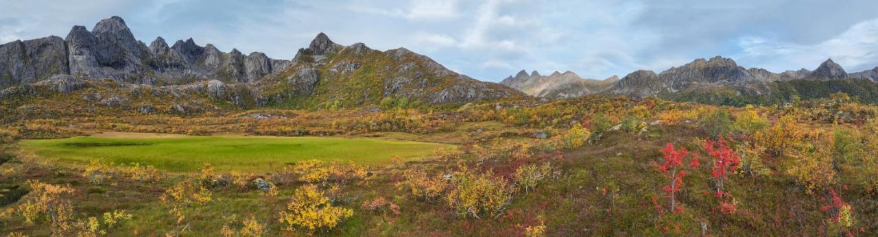 Wildlife Panorama Lofoten Bostad Eksteriør billede