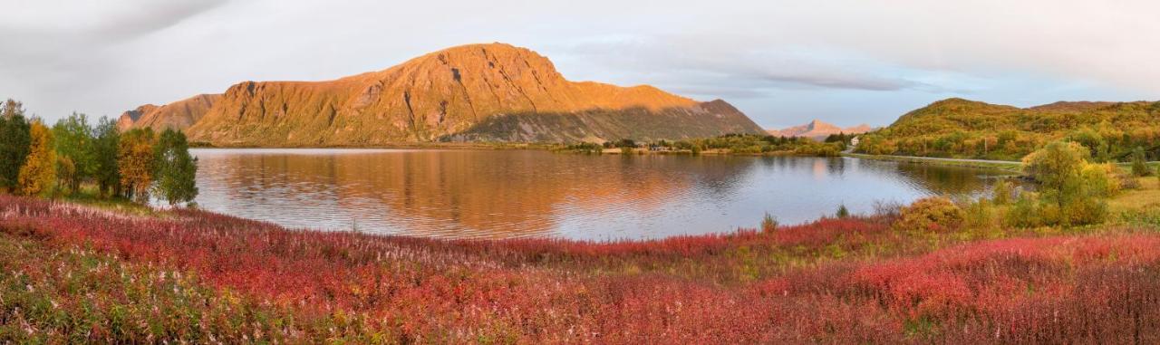 Wildlife Panorama Lofoten Bostad Eksteriør billede