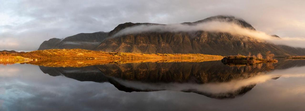 Wildlife Panorama Lofoten Bostad Eksteriør billede