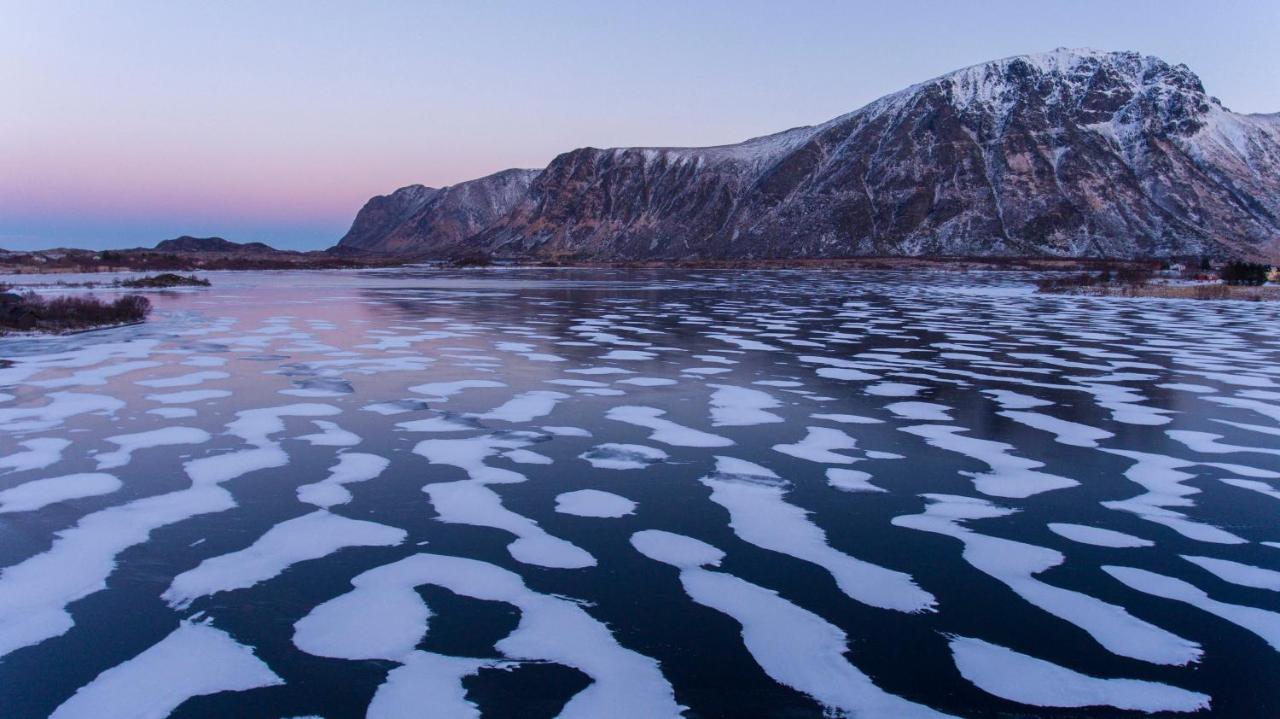 Wildlife Panorama Lofoten Bostad Eksteriør billede
